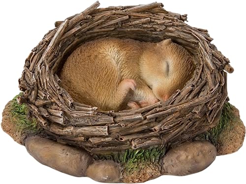 Real Life Woodland Dormouse Asleep in Nest | Resin Home or Garden Decoration | NF-DM09-F
