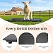 Imagen de Báscula digital para perros grandes con pantalla LED