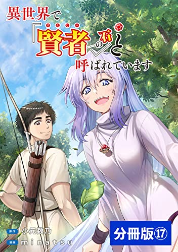 異世界で『賢者……の石』と呼ばれています【分冊版】(ポルカコミックス)17
