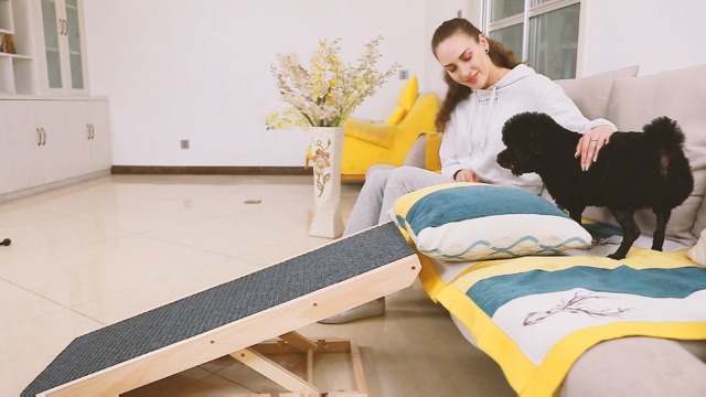 adjustable pet ramp