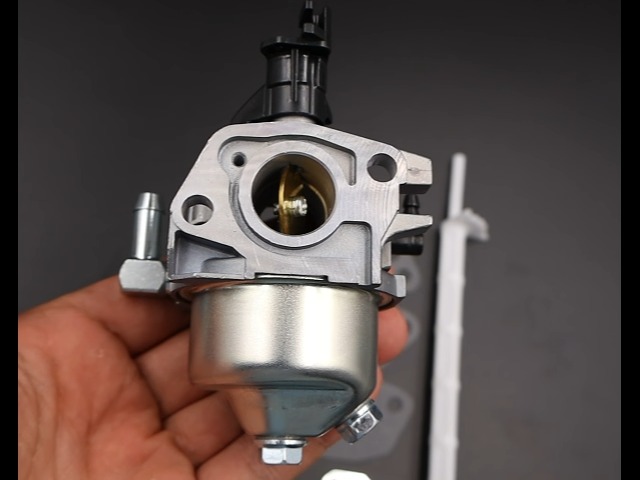 Carburateur Pour Souffleuse à Neige Nikki 216701 Briggs Stratton 1227MD 824LD Ariens 1026~271 - Jardin