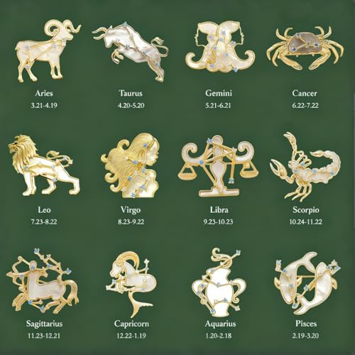 AILONMEI Zodiac Constellation Brooch for Women, 12 Astrology Sign Crystal Brooch Pin, Unique Birthday Gift (Aquarius) by AILONMEI - Used condition - Image 2