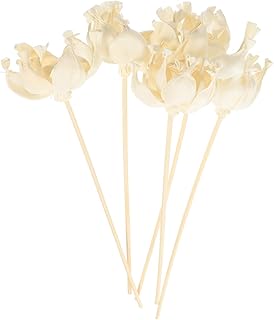NALACAL 5pcs Room Freshener Sticks Essential Oil Accessories Rattan Reed Sticks Scented Oil Sticks Scent Diffuser Sticks Diffuser Reeds Replaceable Tool Dried Flowers