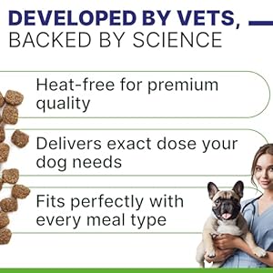  ADVANCED-Hemp-Hip-Joint-Supplement-for-Dogs-Glucosamine-for-Dogs-Dog-Joint-Pain-Relief-Treats-Chondroitin-Turmeric-MSM-Hemp-Oil-Hemp-Treats-for-Joint-Health-Senior-Mobility-Support-Chew