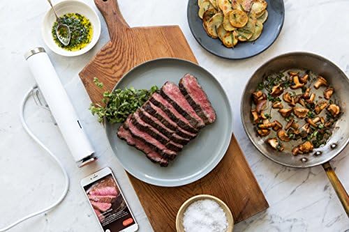 joule sous vide circulator