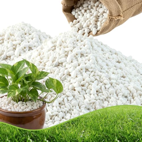 Image of CJGQ 1 /4 inch Small White Rocks for Plants,Potting,Succulents Aquarium Fish Tank Garden Vases Decorative Pebbles Gravel Rocks Stones 45lb