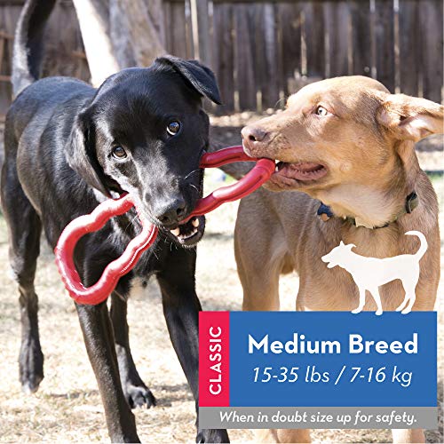 KONG Tug of War Toy Durable, Stretchy Rubber Dog Toy for Medium