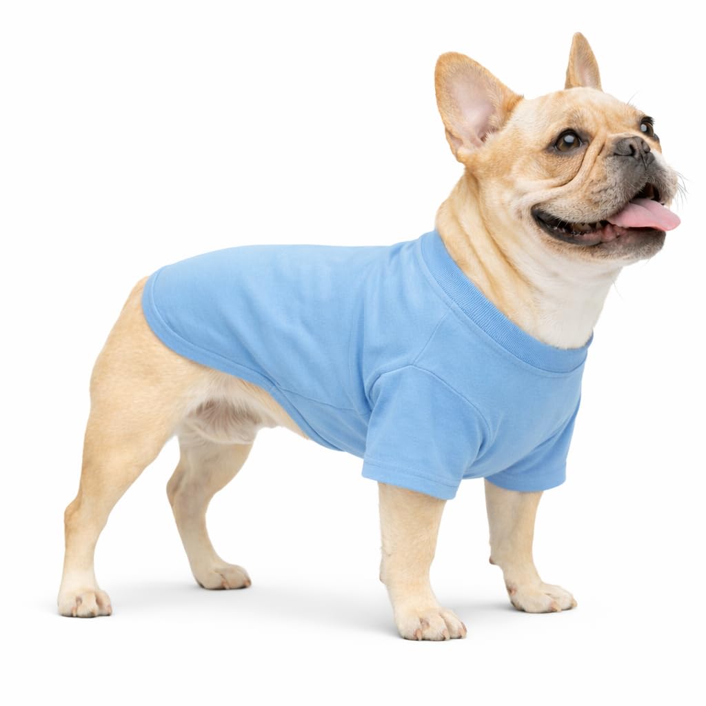 T-shirt pour grands et moyens chiens coton bleu clair vêtement pour animaux BL