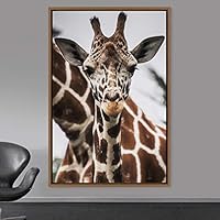 Framed Canvas Wall Art Giraffe Animals Expressive Farmhouse/Country Giraffe Living Room Multicolor Photography - 16x24 inches