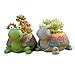 Youfui Cute Animal Shaped Cartoon Home Decoration Succulent Planter Flower Pots (Colorful Turtle)