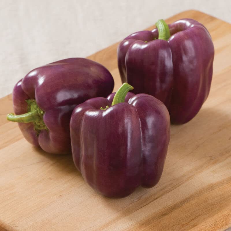 Ritz Farming� Imported vegetable Capsicum purple F1 Hybrid seeds For Your Home & kitchen Garden (Pack Of 70-80 Seeds) (B0BNR2QVVL) Amazon Price History, Amazon Price Tracker