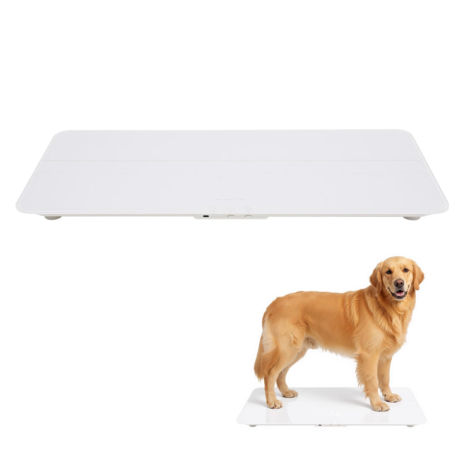 Bilancia digitale per animali domestici, 100 kg, precisione 10 g