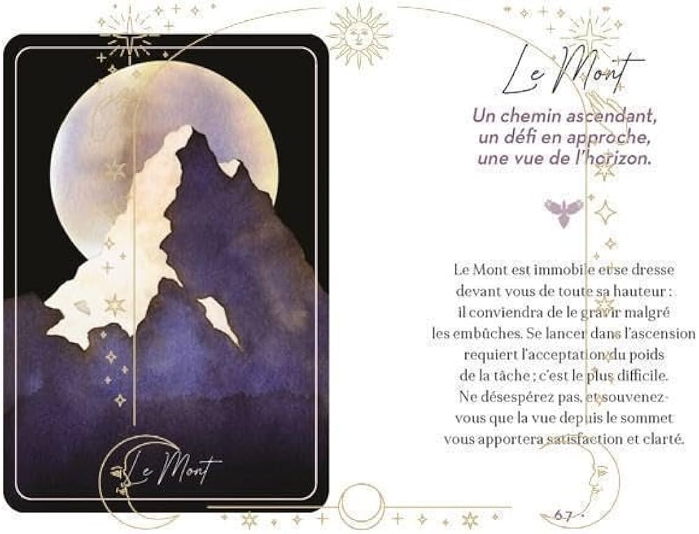 Amazon | 水墨画の超美麗デッキカササギのプチルノルマンカード