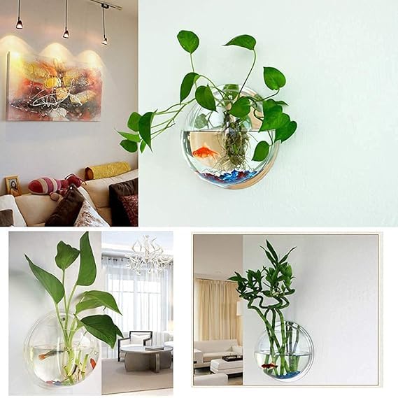 Image of TWINS TWINS Wall Hanging Fish Bowl Acrylic White Colour with Free Money Plant and Color Stones (9Inch)(White)(Standard Size)