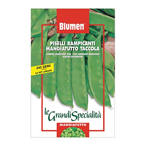BLUMEN SEMENTI, PISELLI RAMPICANTI MANGIATUTTO TACCOLA