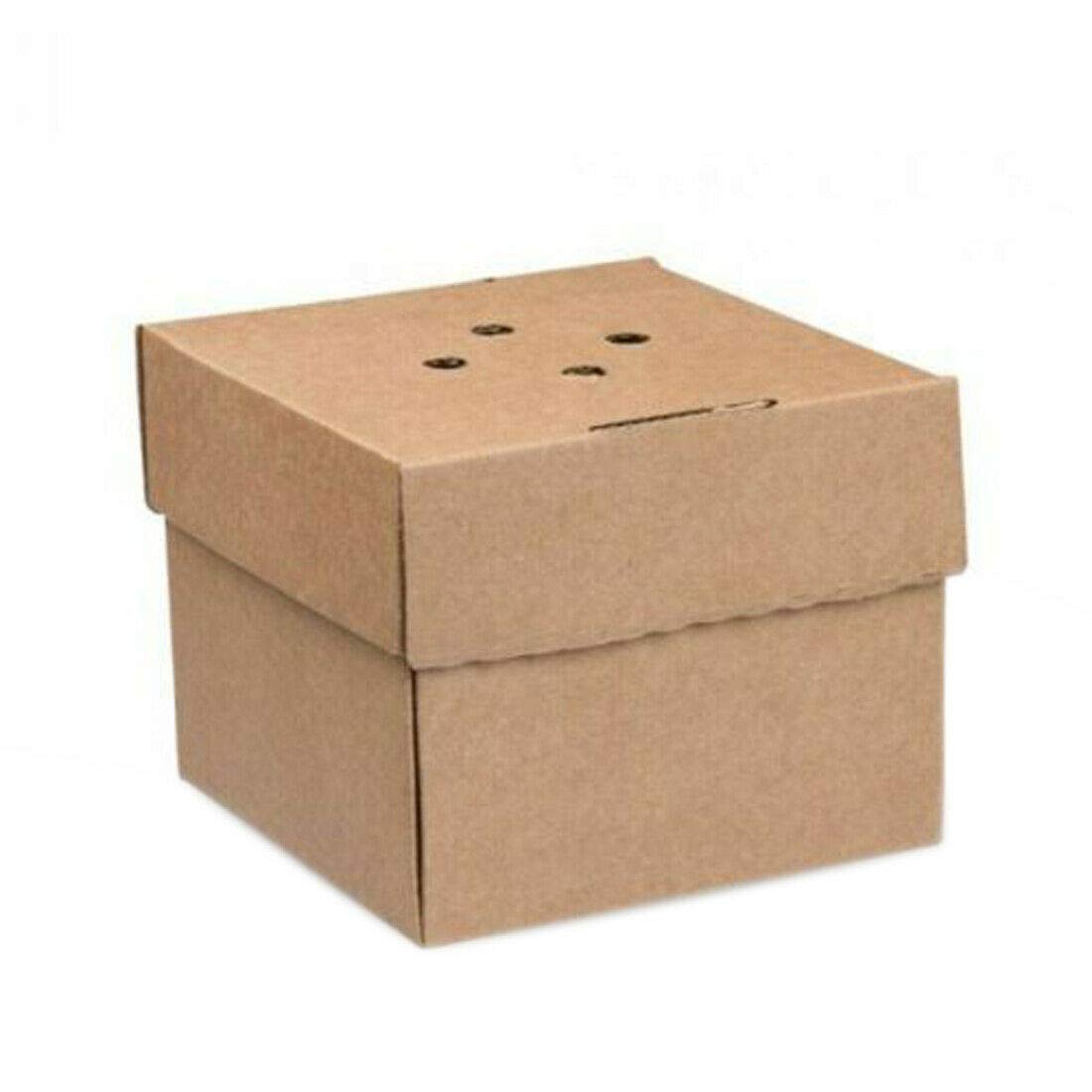 We Can Source It Ltd - Expandable Burger Takeaway Lunch Box 122 x 122mm - Fully Compostable/Biodegradable/Recyclable - 10 Pack
