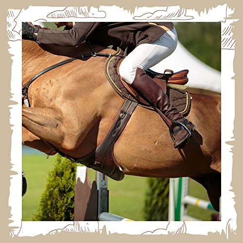 4 stuks lederen spoorriemen Horizons enkellaags spoorriemen Westerse man vrouw verstelbare laarsriemen voor dij hoge laarzen 6 gaten spoorriemen Zwart rijdende lederen spoorriemen voor ruiterbenodig - Afbeelding 3