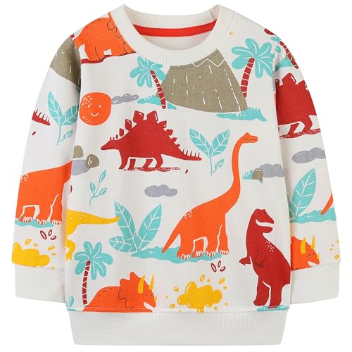 Image of AIWUHE Toddler Cotton Sweatshirt Boys Girls Pullover Long Sleeve Tops 2-6Y