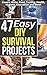 47 Easy DIY Survival Projects: How to Quickly Get Your Family Prepared for Emergencies in Only Ten Minutes a Day