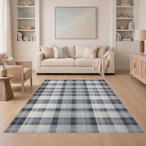 ODIKA Flatwoven High Traffic Area Rug 5x7, Performance Area Rug in Aisha Grey with Abstract Plaid, Non Slip, Stain Resistant, Washable Area Rugs for Living Room, Bedroom (Gray, 5x7)