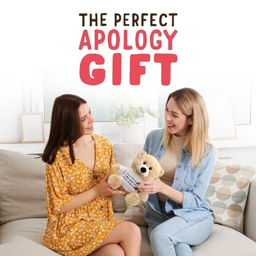 Sorry-Im-An-Idiot-10-Teddy-Bear-with-Gift-Bag-Cute-Funny-Apology-Plush-for-Girlfriend-Boyfriend-Best-Friend - DumpADate.com