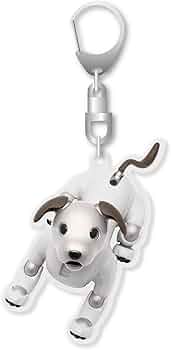 51CeDl46IoL._AC_UF350,