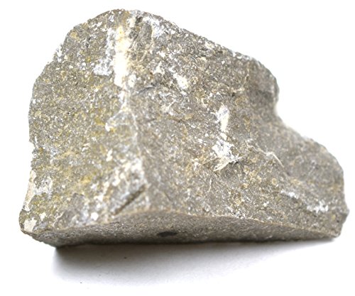 EISCO Limestone Specimen (Sedimentary Rock), Approx. 1