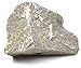 EISCO Limestone Specimen (Sedimentary Rock), Approx. 1" (3cm)