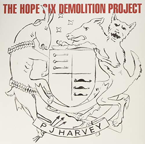 Hope Six Demolition Project