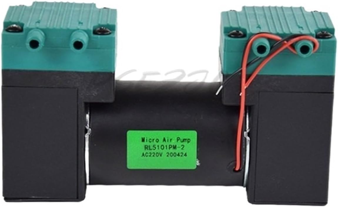 RL5101-2PM 12V Vacuum Pump 24V Low Noise Vacuum Pump(110V)