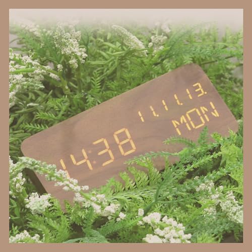 Pokanic Wood fW^ڊo܂v fXN^CAt(MM/DD/YY)AjAxA铔 ^LEDfBXvC |[^uv QAItBXAwZAArO[A(uE)