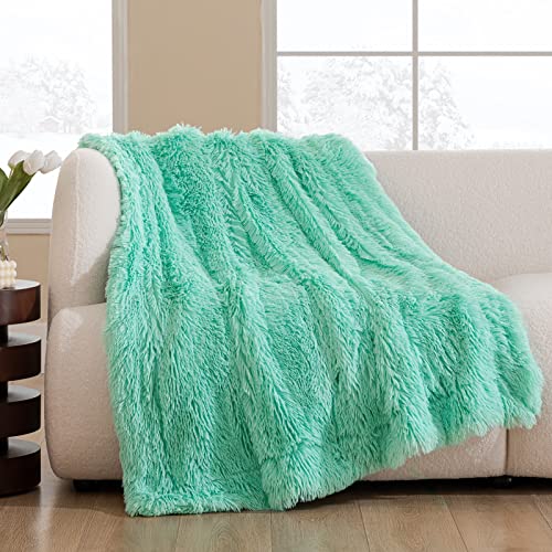 HBlife Luxury Soft Faux Fur Throw Blanket 50 X 60 , Solid Reversible Lightweight Shaggy Fuzzy Blanket Plush Fluffy Cozy Decoration Throw Blankets for Couch and Living Room, Teal