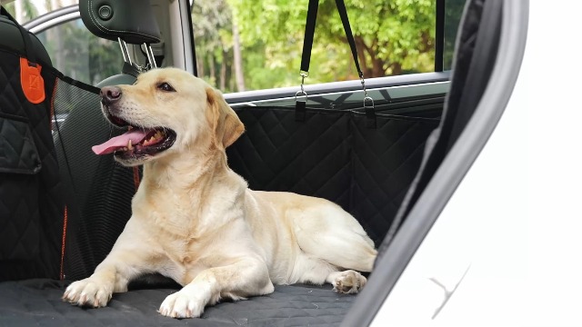 Achterbank Verlenger, Autostoelhoes voor Honden als Achterbankbed met Gaasvenster en Opbergvak, Draagt ​​180 kg, Hondenhangmat voor Auto, Honden Autobed ​​145 x 77 cm, voor Vrachtwagens | NL