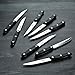 HENCKELS Forged Premio 19-pc Knife Block Set