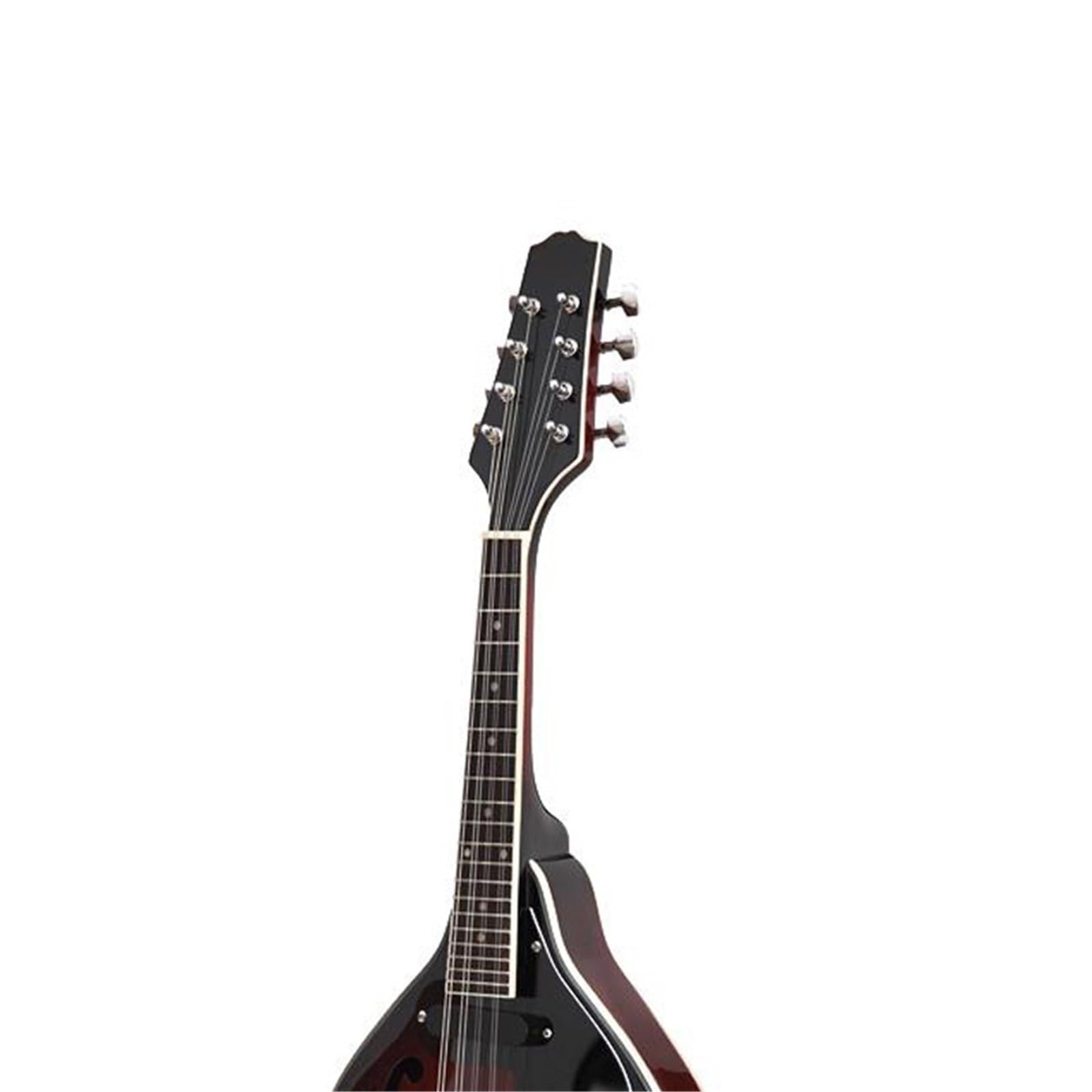 Mandolina Para Principiantes Instrumentos De Mandolina Para Principiantes Adultos Y Profesionales(Mandolin)