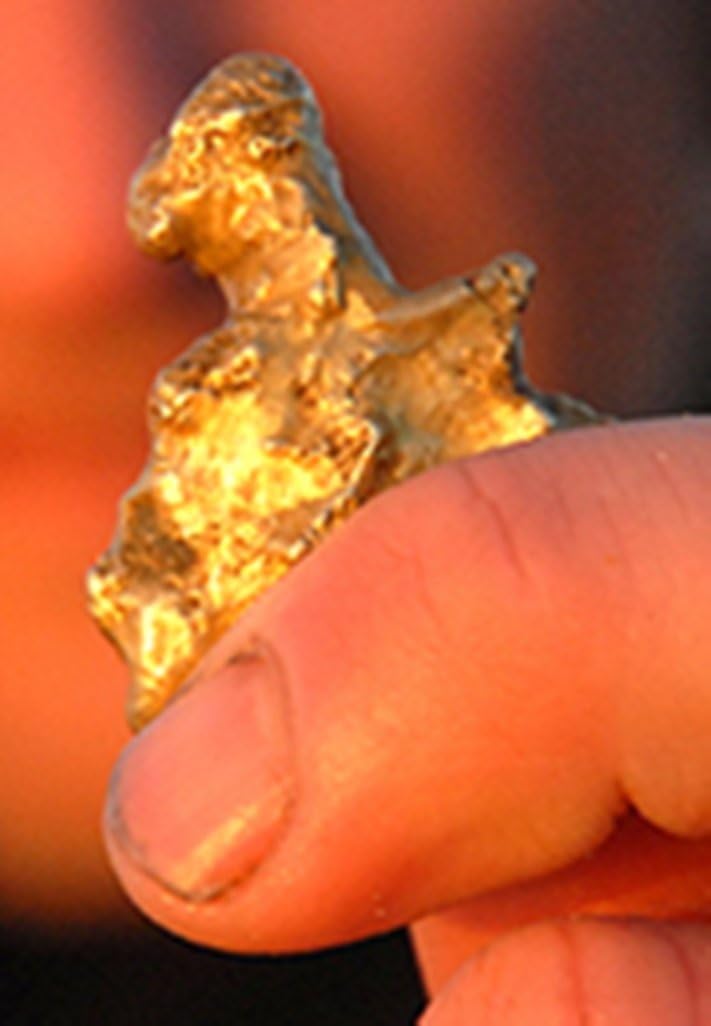 Famous Trails Discriminator II Metal Detector