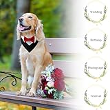 HACRAHO Rotes Hunde-Smoking-Bandana aus Baumwolle, 1 Stück, formelles Hunde-Hochzeitshalsband mit Fliege und Halstuch für Hunde und Katzen, S