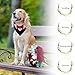HACRAHO Rotes Hunde-Smoking-Bandana aus Baumwolle, 1 Stück, formelles Hunde-Hochzeitshalsband mit Fliege und Halstuch für Hunde und Katzen, S