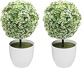 ✿ Usted nunca necesita riego o el suelo y la suciedad proceso complicado.Se les puede poner prácticamente sin luz natural en la habitación, por supuesto, siempre se ven activa y saludable.Realmente es un sustituto de las plantas vivas.