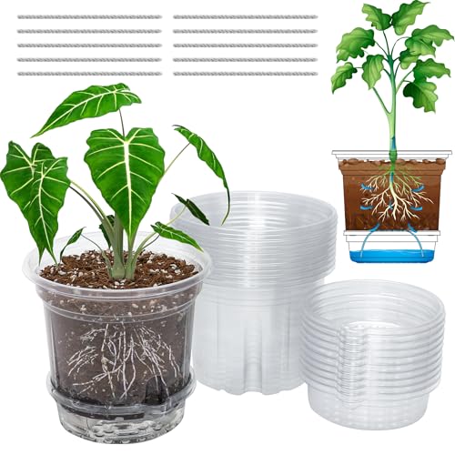 Bluepro 20-Pack Clear Self Watering Pots