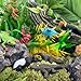 Safari Ltd. Rainforest TOOB - 11 Figurines: Macaw, Frogs, Toucan, Iguana, Monkey, and More - Educational Toy Figures For Boys, Girls, and Kids Ages 3+