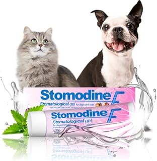 ICF | Stomodine F | Cat & Dog Toothpaste | Meat Flavour | Fights Plaque & Bad Breath | Healthy Dental Oral Hygiene | Easy to Use Teeth Cleaner for Pets