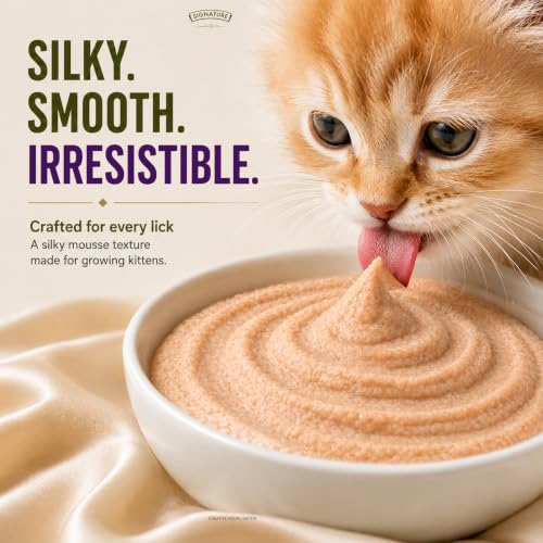 Image of Grain Zero Kitten Wet Mousse 80g Pack of 5, 400g | Ocean Fish | Rich in Protein | Promotes Hydration & Easy to Digest | No Artificial Flavours |Packed with Essential Vitamins & Antioxidants