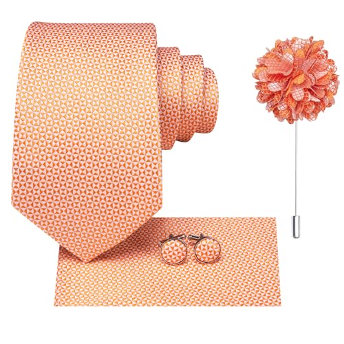 Image of Hi-Tie Mens Paisley Floral Striped Ties Set Silk Necktie and Lapel Pin for Men Pocket Square Cufflinks Set Business Wedding