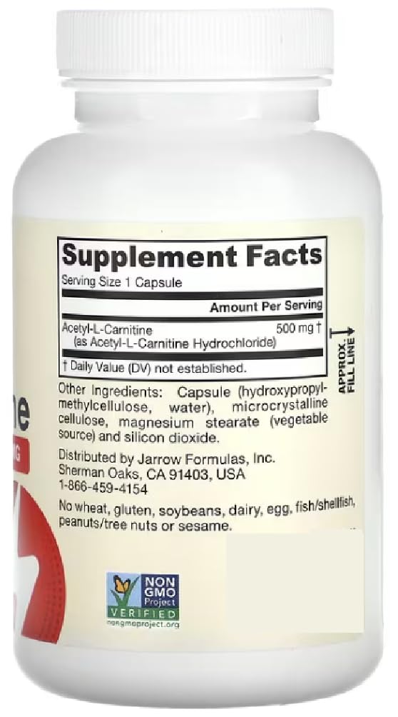 Jarrow Formulas - Acetyl L-Carnitin | 500 mg für Energie und kognitive Unterstützung - 120 Kapseln