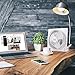 BLACK+DECKER 9-Inch Frameless Box Fan, Freestanding Desk Fan with 3-Speed Settings, Portable Fan for Home Office or Garage, BFB09W, White