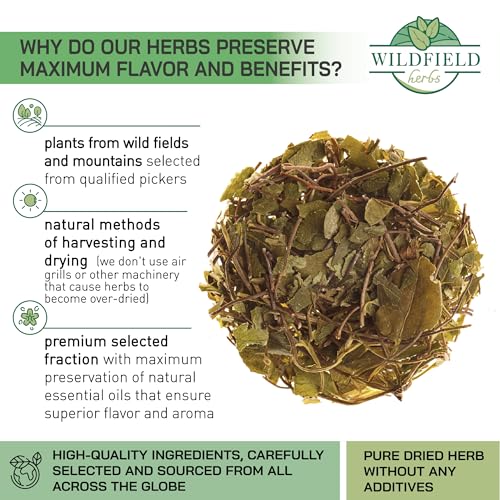 Image of 1.8 oz. Dried Cut Sidebells Wintergreen Herb Tea (Orthilia Secunda) - 50 g One-Sided Wintergreen Herbal Tea Orthilia (Peralito)