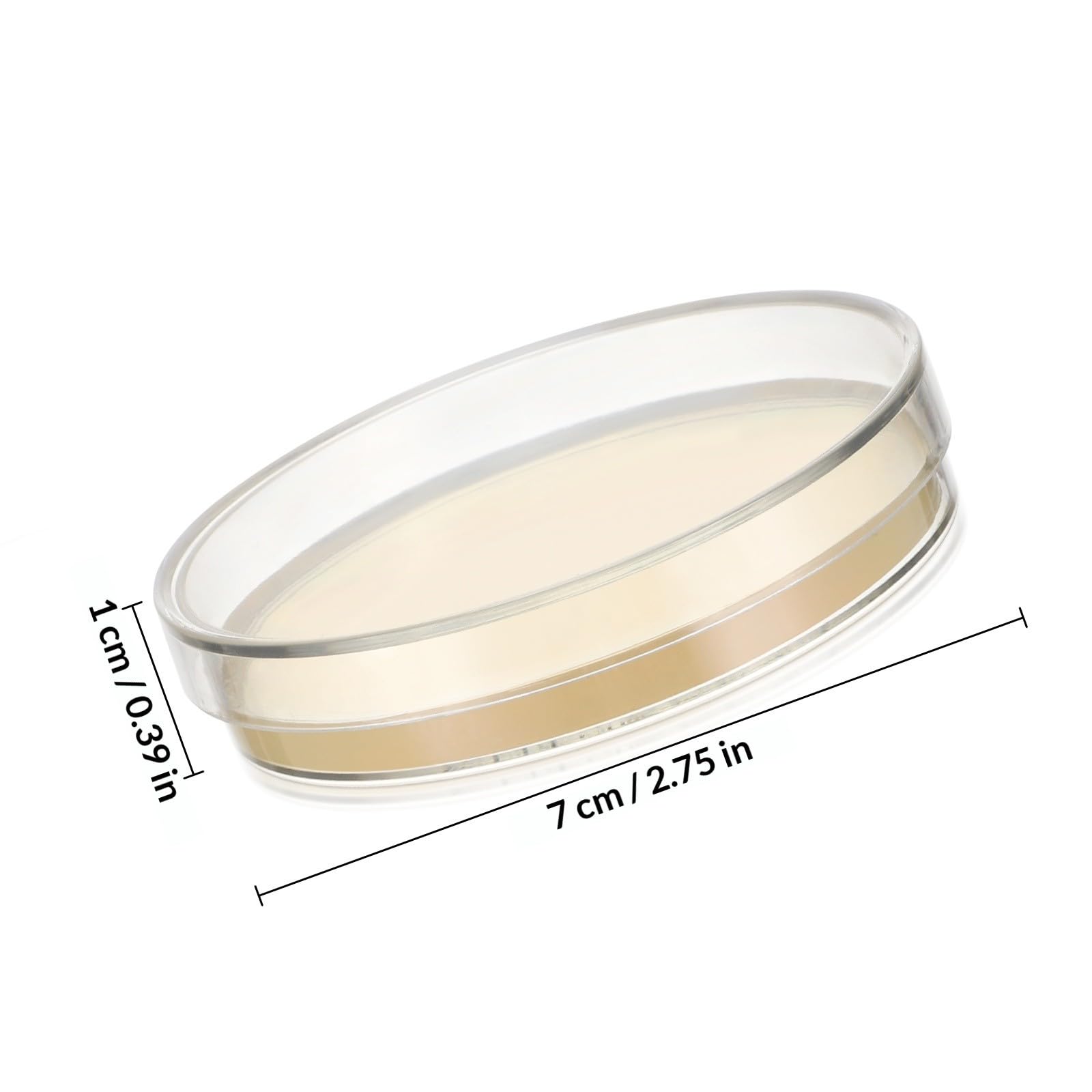 Placas de Petri Agar Prevertido 20 Piezas para Cultivo de Tejidos en Laboratorio, Material Microbiológico Crecimiento Rápido para Experimentos Científicos