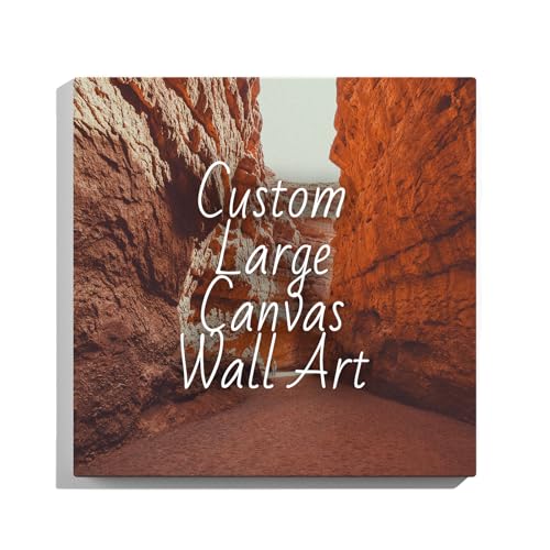 FZJSKJ Custom Framed Canvas Wall Art 24" x 24" Canvas