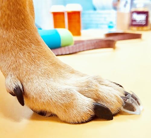 Dr. McHenry’s Dog Toe Treads, Set of 24, Adhesive, Cleaning Brush, Increased Traction, Dog Mobility Support, X-Large Kit- Weight: 60-150 lbs. 1.6 oz.